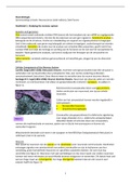 Neurobiologie samenvatting H1 t/m 8 + anatomie