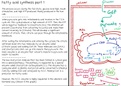 Summary of  fatty acids synthesis (Biochemistry)