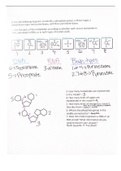 DNA notes