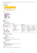 Summaries for Anatomy several sections Medical School (CMED1BF) GI tract, Circulatory, Reproductive, Respiration, Endocrine, Urinary