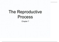BIOD 152 A&P 2 Lab7: Chapter 7  Reproduction Processes 1.