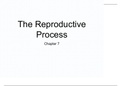 BIOD 152 A&P 2 Lab7&colon; Chapter 7  Reproduction Processes 1&period;