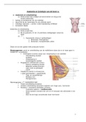 Samenvatting  Arbeid En Bevalling/ anatomie en fysiologie borst