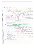 Biology 106 continued notes