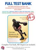 Test Bank For Human Anatomy and Physiology 10th Edition by Elaine N&period; Marieb &comma; Katja Hoehn 9780321927040 Chapter 1-29 Complete Guide&period;