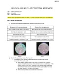 BIO 1414 &lpar;LAB &num;5-7&rpar; LAB PRACTICAL &num;2 2021-2022 REVIEW with practice questions Updated