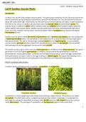 Exam (elaborations) BIOLOGY 1301 Lab #7 - Seedless Vascular Plants
