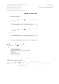 51B Bess Midterm 2 Practice Worksheet (Questions + Answers)