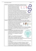 Samenvatting  Nederlands (C-NED5)