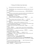 Document preview thumbnail