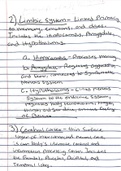 Brain Anatomy Notes (2)