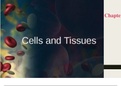 Cells and Tissues. (everything you need to know)