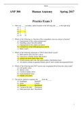ANP 300 Human Anatomy Practice Exam 3|answers highlighted in yellow|100% correct