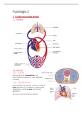 Samenvatting  Fysiologie 2