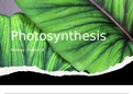 AQA GCSE Biology Triple: Photosynthesis 