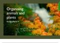 AQA GCSE Biology Triple: Organising animals and plants 
