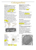 taak 1 &lpar;celorganellen&rpar; continu&iuml;teit van het leven &plus; extra aantekeningen owg