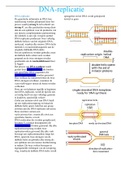 taak 3 bgz2022&comma; DNA-replicatie &plus; extra aantekeningen owg