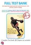 Test Bank for Human Anatomy and Physiology&comma; 10th Edition&comma; Elaine N&period; Marieb