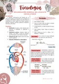 Fisiologia - Organizacion General del Sistema Circulatorio
