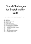 Summary Grand Challenges for Sustainability