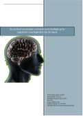 PWS van BSM over De invloed van fysieke activiteit en de leeftijd op de  cognitieve vaardigheden van de mens
