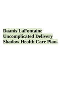 Daanis LaFontaine Uncomplicated Delivery Shadow Health Care Plan.