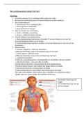 Anatomie en fysiologie: Het cardiovasculaire stelsel- hart
