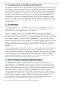 Ch&period; 17 Chapter Review - Anatomy and Physiology &lowbar; OpenStax&period;