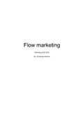 Volledige en uitgebreide samenvatting van het vak Flow marketing