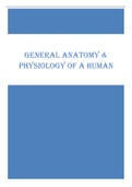 General Anatomy & Physiology of a Human (1)