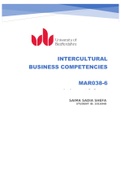 INTERCULTURAL BUSINESS COMPETENCIES - Understanding cultural differences