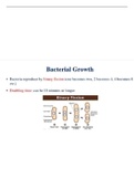Bacterial growth