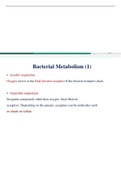 Bacterial metabolism