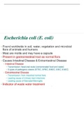 Escherichia coli