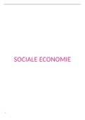 samenvatting sociale economie