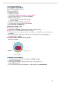 Basis van psychodiagnostiek - Hoofdstuk 4: Persoonlijkheidsdiagnostiek en NEO-PI-3  en Schaleren