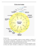 Investigación de ciclos celulares