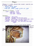 PHARYNX SHORT NOTES
