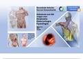 Gratis Oefentoets Decentrale Selectie Geneeskunde 2023: Anatomie en Fysiologie