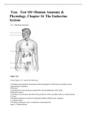  Teas 	Test 101>Human Anatomy & Physiology, Chapter 16 The Endocrine System