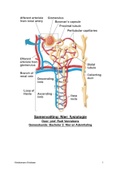 samenvatting nierfysiologie
