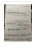 Bio210  Chapter 14 notes