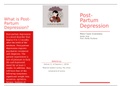 Postpartum Depression Brochure for OB Clinical 316L 
