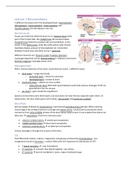 summary neurosciences lectures, biomedical sciences 2nd year neurosciences 