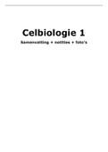 Celbiologie 1 - Samenvatting en notities met foto's