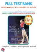Test Banks For Human Anatomy & Physiology 11th Edition by Elaine N Marieb; Katja N. Hoehn, 9780134580999, Chapter 1-29 Complete Guide