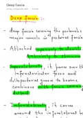 Simple and easy  notes on anatomy for first year MBBS nad Nursing students