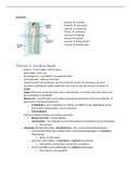 Samenvatting  Anatomie (4012ANATPY)