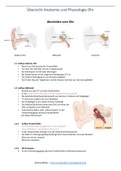 Zusammenfassung Anatomie und Physiologie Ohr